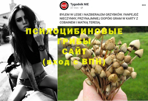 скорость Заволжье
