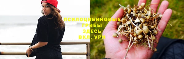 скорость Заволжье