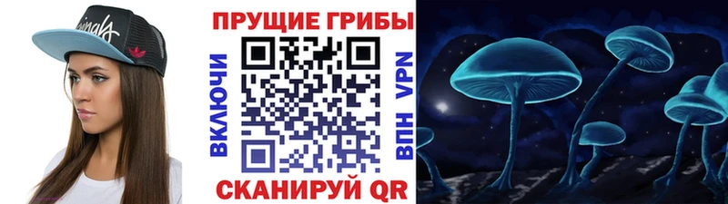 Купить Ярославль Псилоцибиновые грибы мухоморы